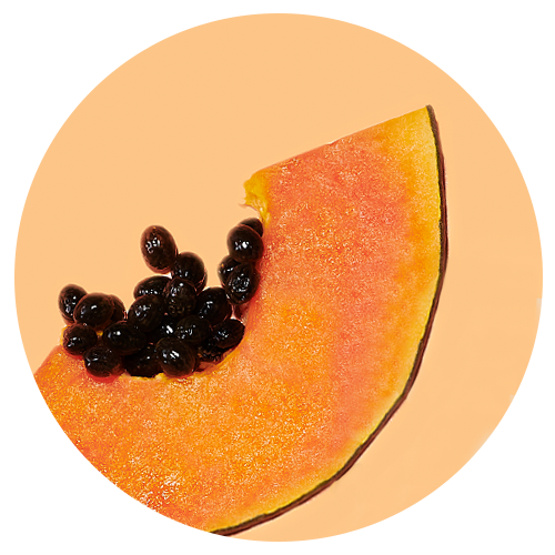 Papaya Enzymes image